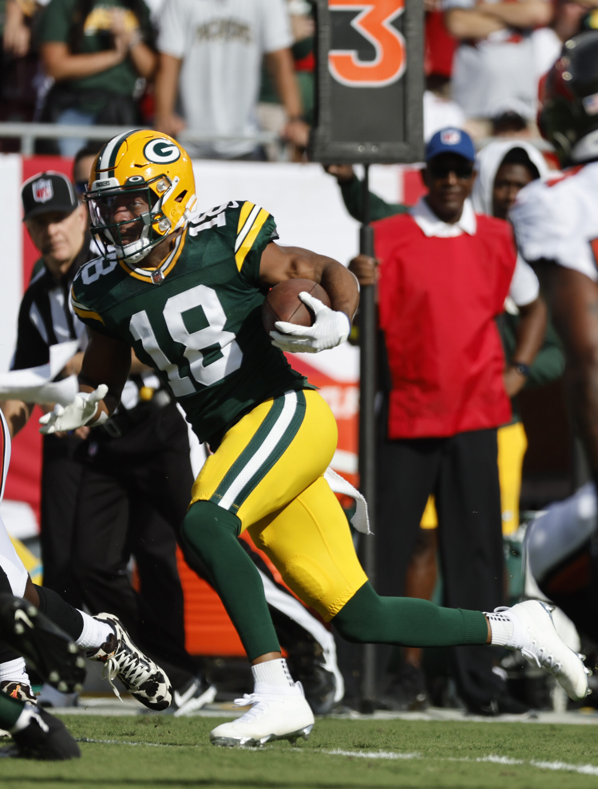 Green Bay Packers, Randall Cobb, NFL