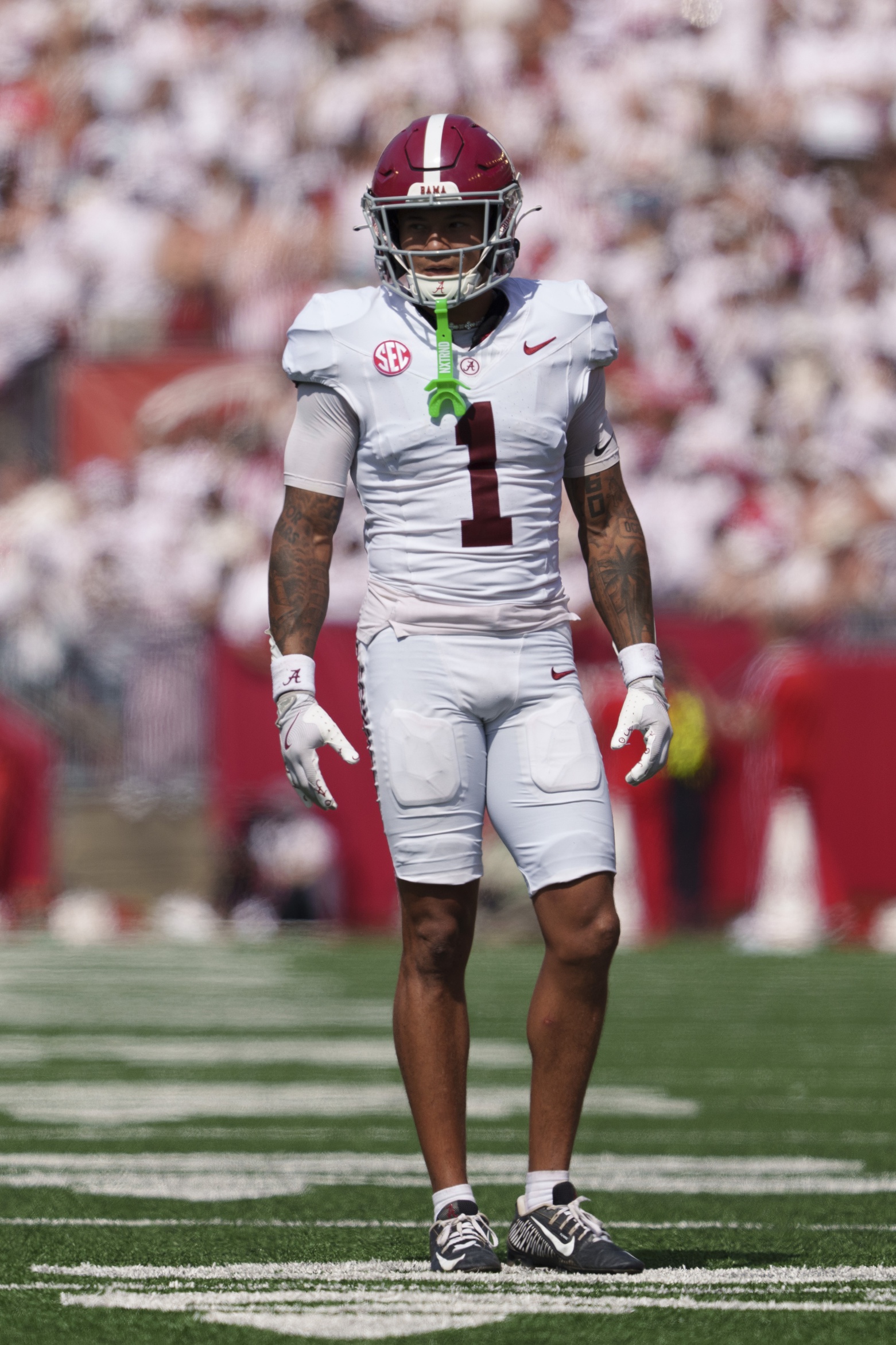 Green Bay Packers, Domani Jackson