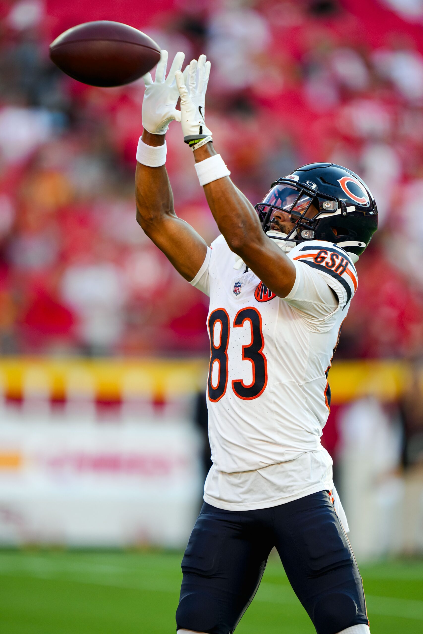 Green Bay Packers, Samori Toure, NFL