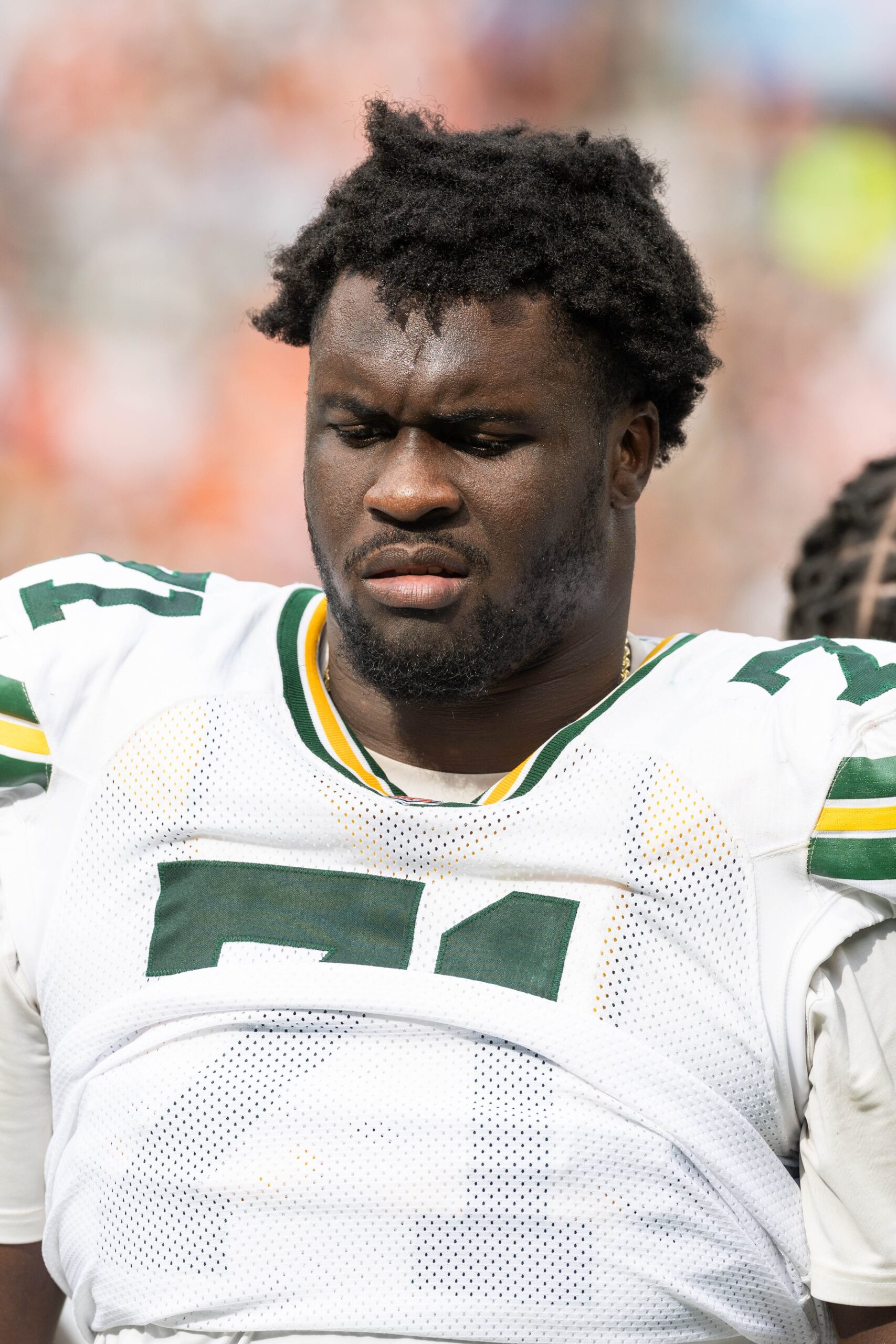Green Bay Packers, Anthony Belton, NFL